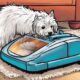 top pet vacuum recommendations