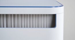 hepa seal verification standards