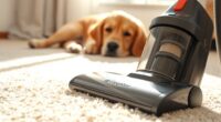 vacuuming and pet odors