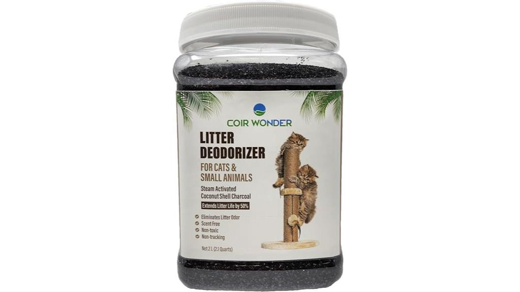 activated charcoal odor eliminator