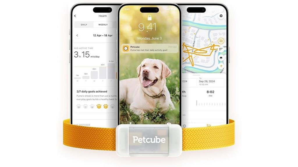 dog gps tracking device