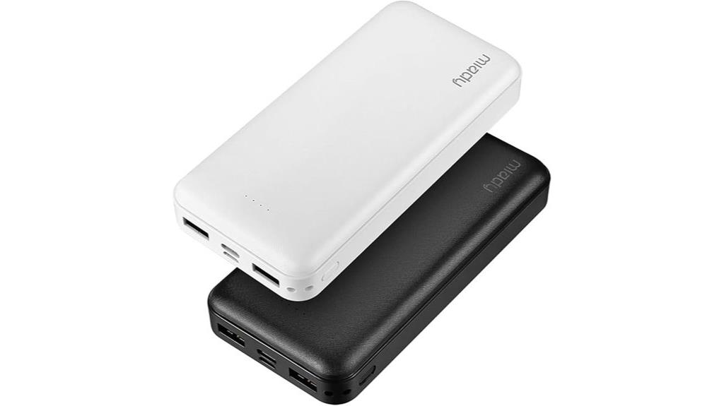 dual portable power banks