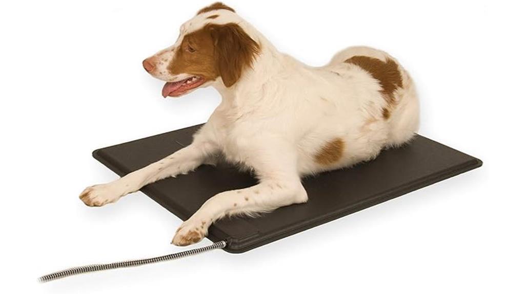 heated outdoor pet pad