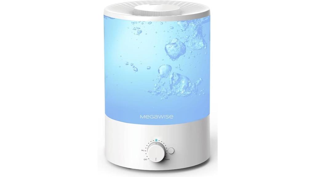 humidifier with water filter