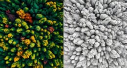 lidar versus camera navigation