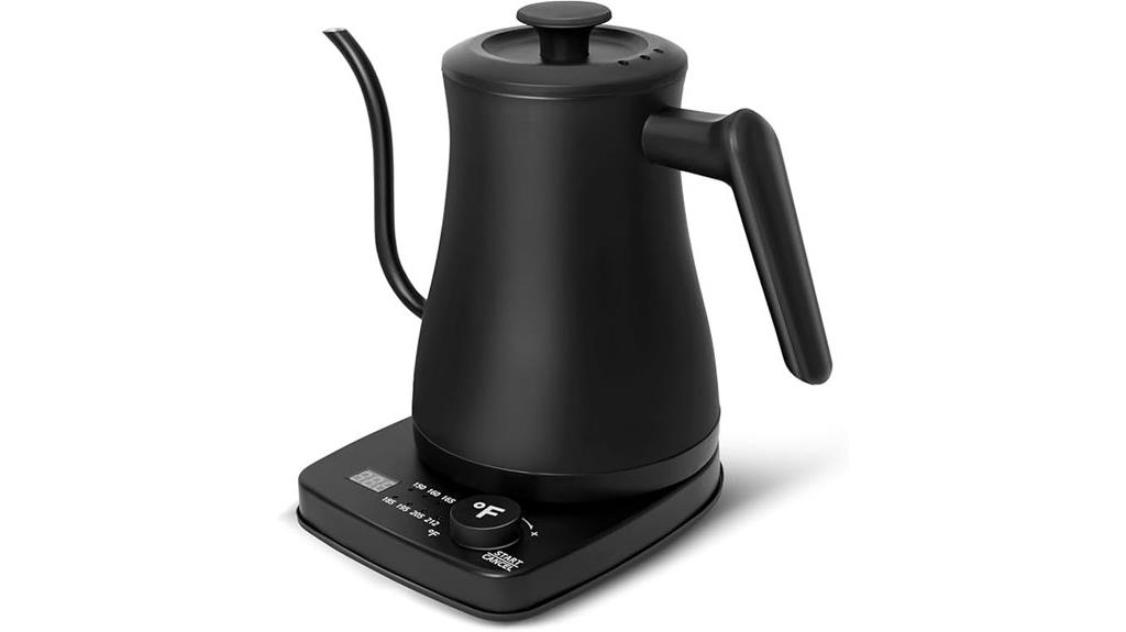 precision temperature control kettle