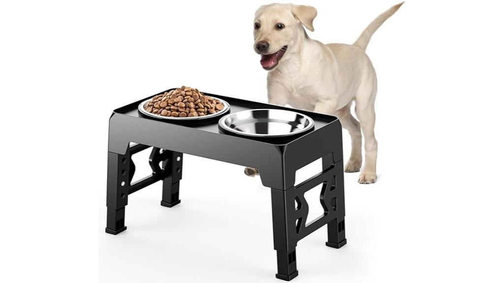 raised dog bowl stand