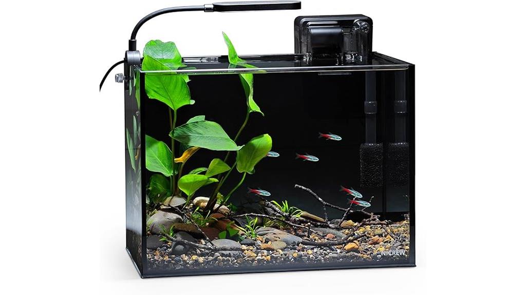small aquarium with accessories