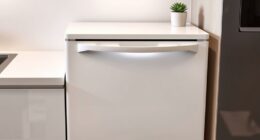 small space dishwasher options