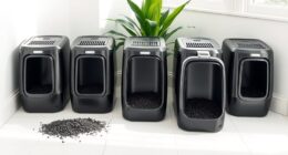 top charcoal litter odor control
