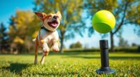 top dog toy launchers