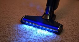 uv light kills germs