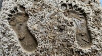 cleaning entryway mats is challenging