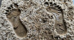 cleaning entryway mats is challenging
