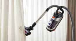 vacuum for delicate surfaces