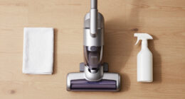 14 Best Portable Handheld Vacuum Cleaners in 2026
