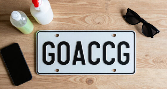 What To Do If Your License Plate Accidentally Says Something NSFW
